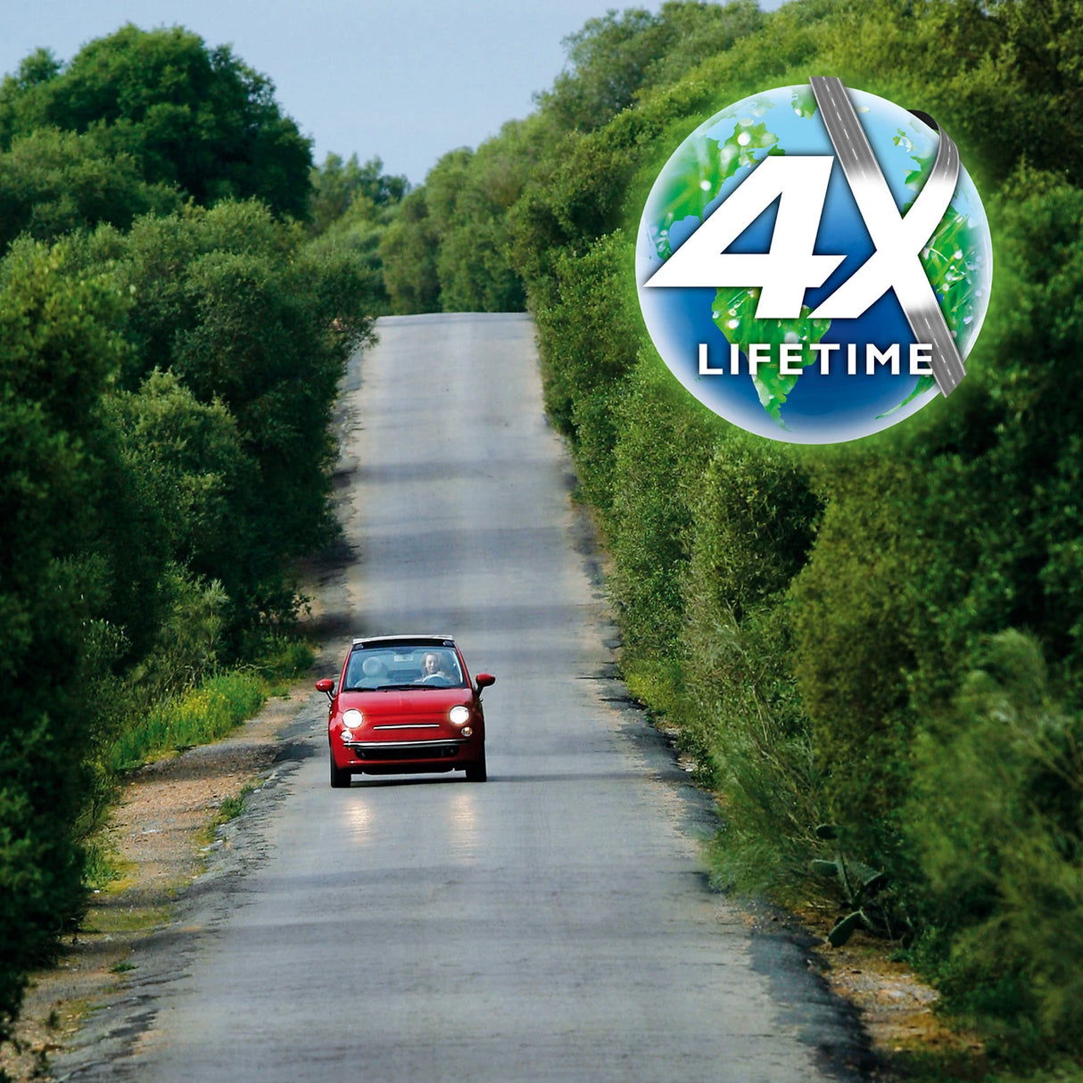 נורת הלוגן (יחידה אחת) H1 LongLife EcoVision