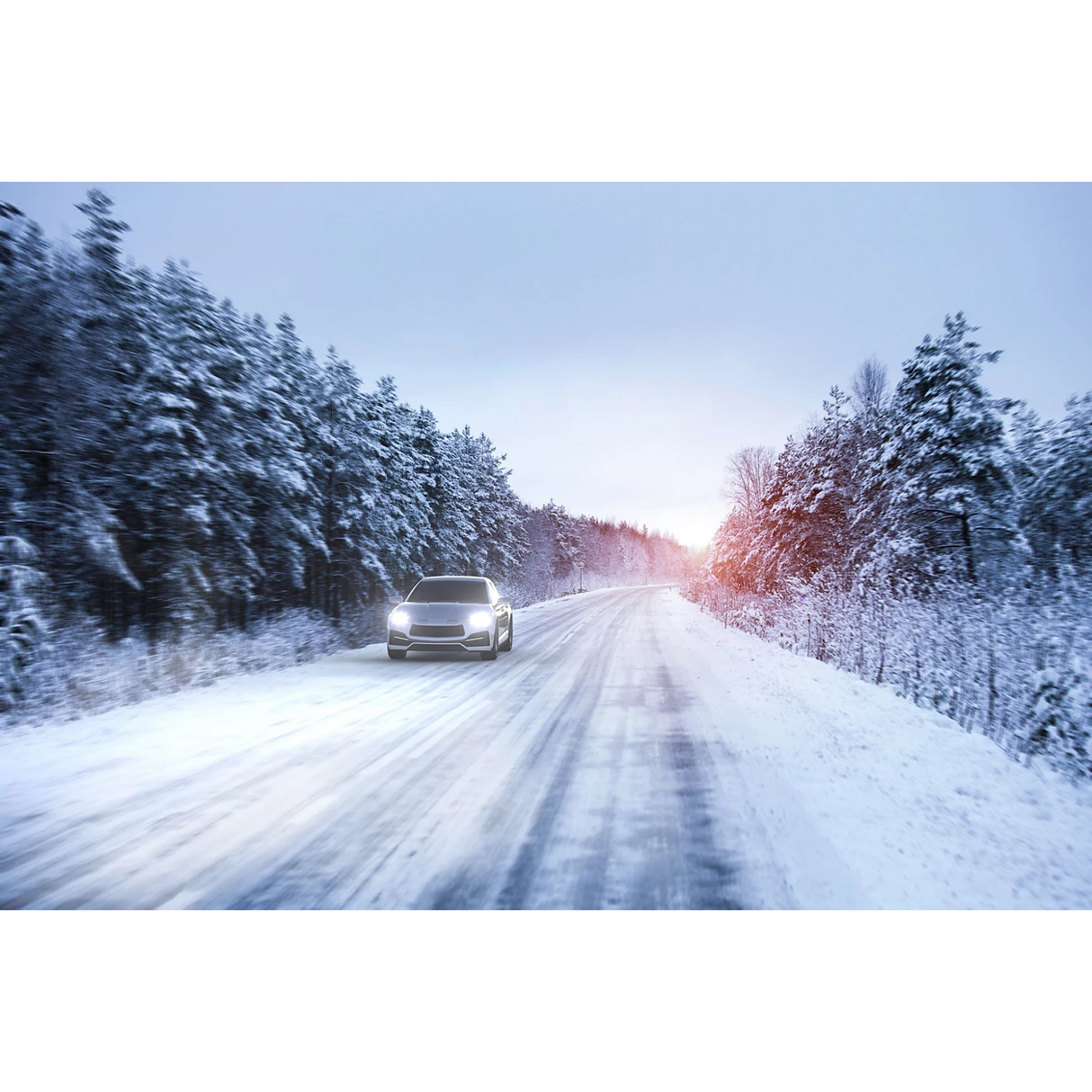 נורת הלוגן (יחידה אחת) HB3 9005 WhiteVision Ultra