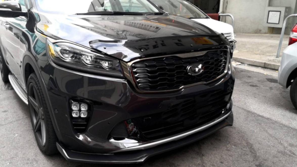 מגן יתושים Falcon לקיה סורנטו 2014