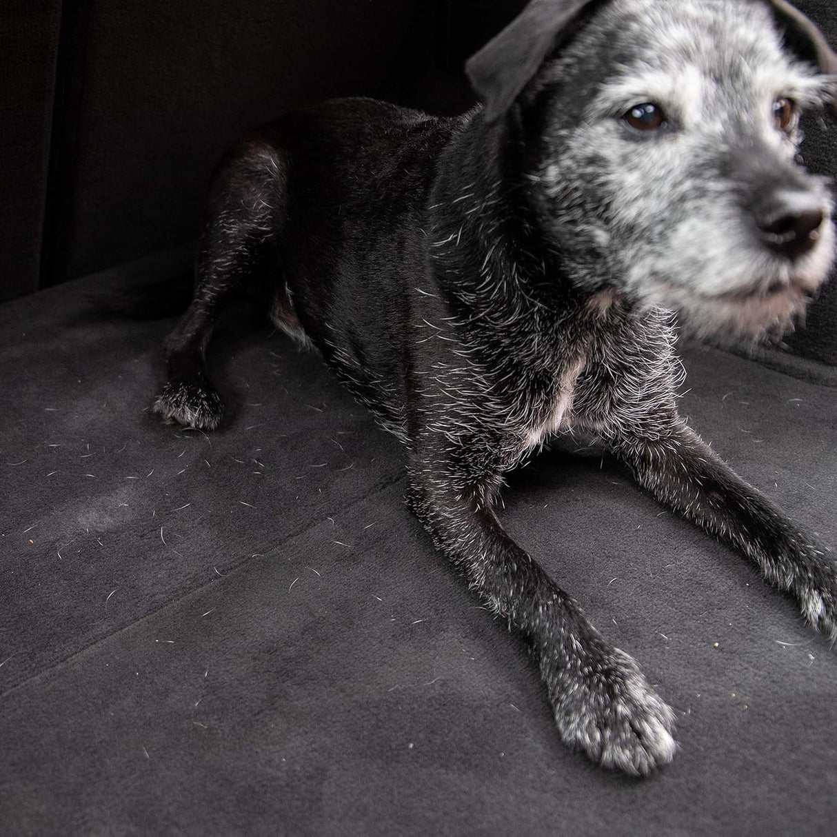 מברשת להסרת שיער וסיבים Meguiar's