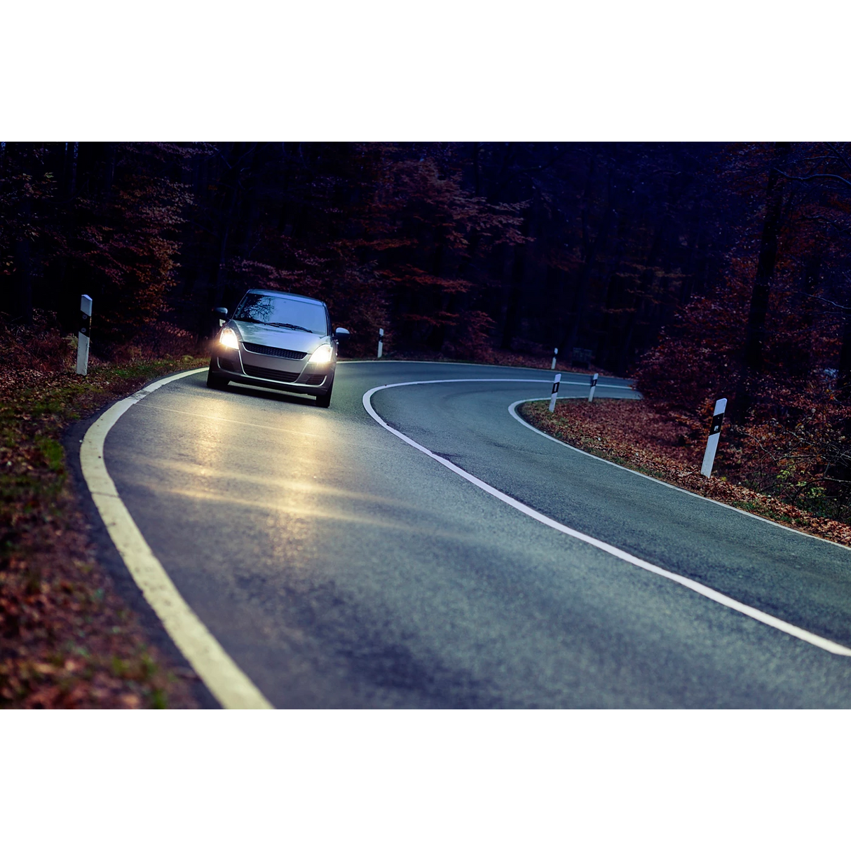 נורת הלוגן (יחידה אחת) HB3 9005 Vision