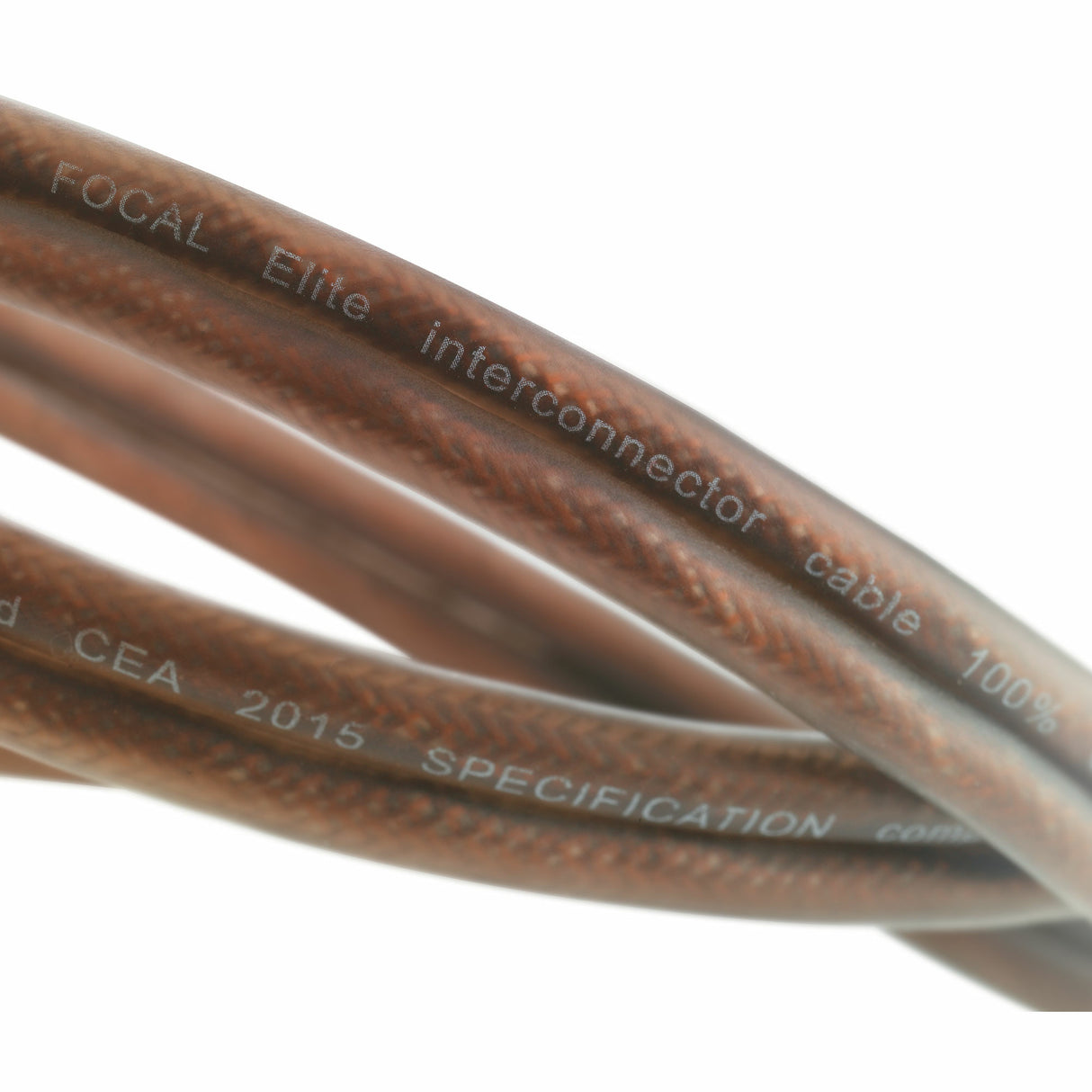 כבל RCA סטריאו Focal ER5 באורך 5 מטר