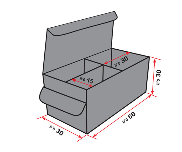 ארגונית סגורה לתא מטען ברכב