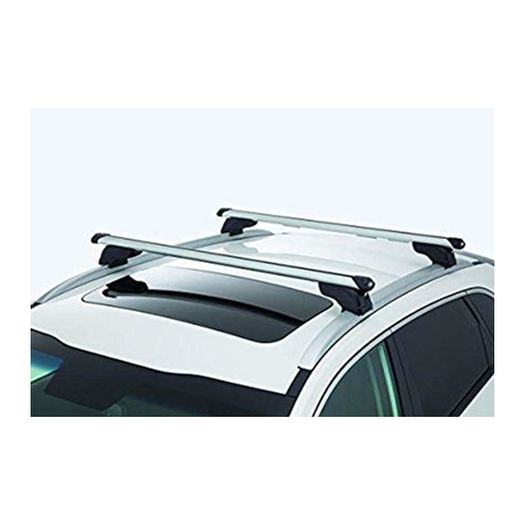 גגון פולקסווגן טיגואן  wingbar