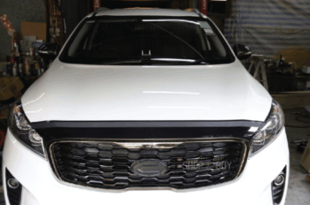 מגן יתושים בהדבקה לקיה סורנטו 2019